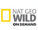 National Geographic On Demand